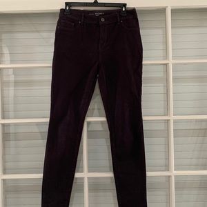 Chicos new with tags platinum jeggings